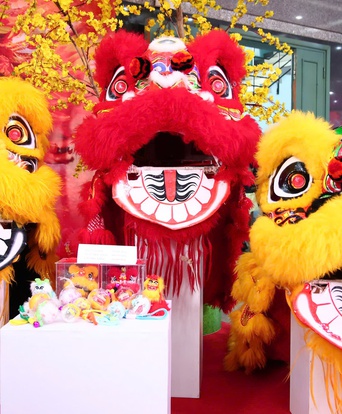 Giải Lân Sư Rồng Quốc tế Cúp Chợ Lớn - HTV 2026: Quy tụ anh tài, tự hào Thành phố mang tên Bác