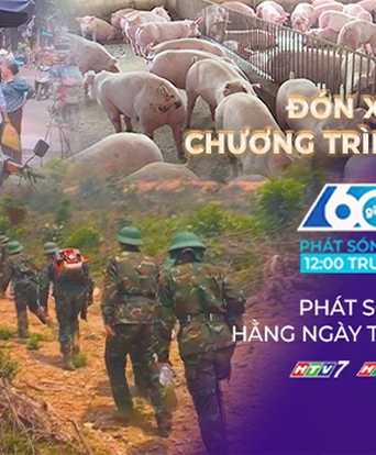 60 Giây Trưa ngày 23/6/2026 | Giá heo hơi hôm nay (23/6): tiếp tục điều chỉnh giảm.