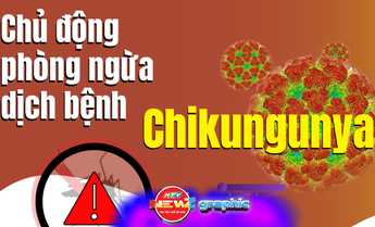 NewZgraphic: Dịch bệnh Chikungunya - Gánh nặng vô hình cho cộng đồng