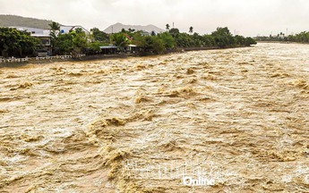 Khánh Hòa: Một số địa phương vùng trũng thấp tiến hành di dời dân