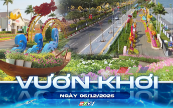 Vươn khơi - Ngày 6/12/2025 | Chỉnh trang đô thị và trang trí Tết Nguyên đán Bính Ngọ 2026