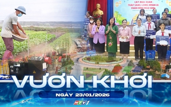 Vươn khơi - Ngày 23/1/2026 | Hộ kinh doanh an tâm kê khai thuế từ 2026