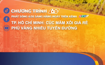 TP. Hồ Chí Minh: Cúc mâm xôi giá rẻ phủ vàng nhiều tuyến đường