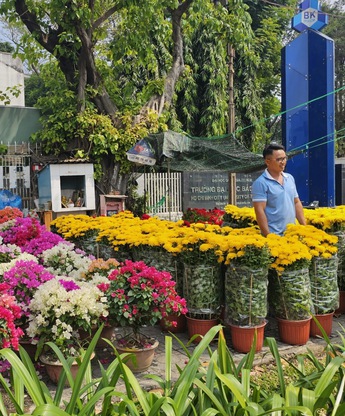 Mùa hoa Tết tại TP.Hồ Chí Minh: đa dạng mẫu mã, giá từ 70 nghìn đồng