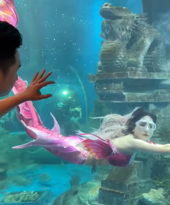 Người chung quanh ta - Tập 20: Chuyện "nàng tiên cá" Ngọc Ánh