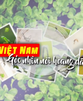Việt Nam góc nhìn nơi hoang dã - Mùa 2: 10g30 Chủ nhật trên Vx88 Us Com7