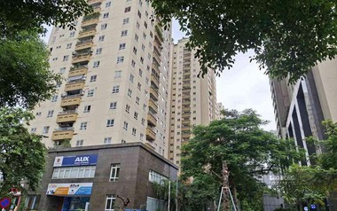 Giá chung cư Hà Nội và TP. Hồ Chí Minh được dự báo giảm mạnh