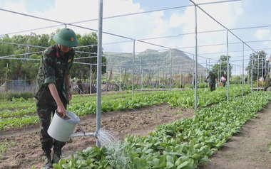 Những "lão nông" mặc áo lính dưới chân núi Minh Đạm