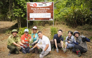 Gần 70.000 cây rừng đầu nguồn được trồng mới trong năm 2026