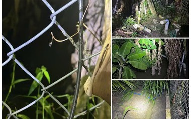 2 anh em tử vong trong vườn dừa, nghi do điện giật