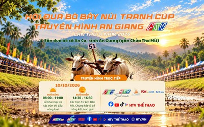 Trực tiếp: Chung kết Hội đua bò Bảy Núi tranh cúp Truyền hình An Giang lần thứ 31 năm 2026 | 10/10