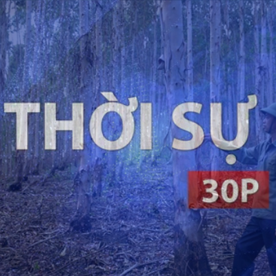 Thời sự 30p chiều: Việt Nam nhận khoảng 1.900 tỉ đồng để chi trả cho nỗ lực giảm phát thải từ rừng