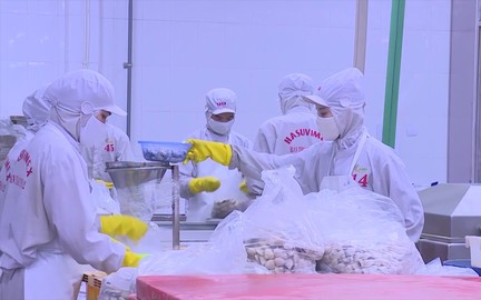 TP. Hồ Chí Minh hỗ trợ doanh nghiệp tận dụng CEPA mở rộng thị trường xuất khẩu