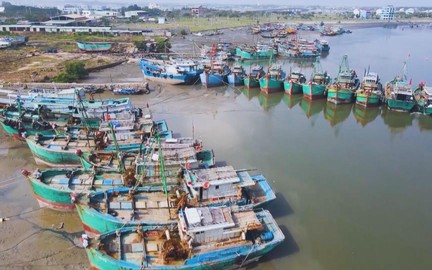 Siết chặt chống khai thác IUU tại TP. Hồ Chí Minh trước đợt kiểm tra của Ủy ban châu Âu