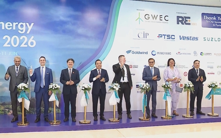 Khai thác tiềm năng điện gió ngoài khơi của Việt Nam