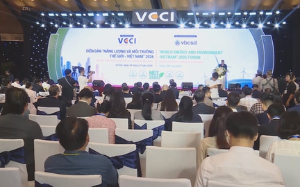 Việt Nam thúc đẩy chuyển dịch xanh, hiện thực hóa mục tiêu phát thải ròng bằng "0"
