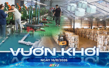 Vươn Khơi - Ngày 16/8/2026 | Chiến lược phát triển dịch vụ logistics trên địa bàn TP. Hồ Chí Minh