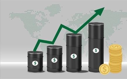 Giá xăng dầu hôm nay (21/8): Giá dầu thế giới neo ở mức cao
