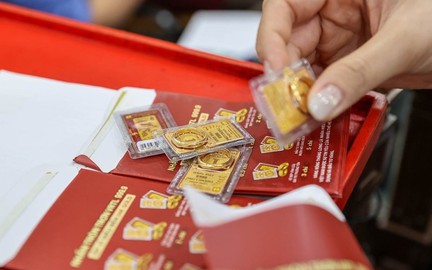 Giá vàng hôm nay (29/8): Vàng thế giới lao dốc