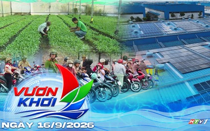 Vươn Khơi - Ngày 16/9/2026 | TP. Hồ Chí Minh hướng dẫn thực hiện quy định mới về điện mặt trời mái nhà