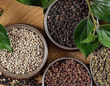  Giá hồ tiêu tăng mạnh