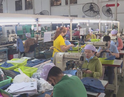 Doanh nghiệp tăng tốc ngay từ đầu năm, tạo đà tăng trưởng cho 2026