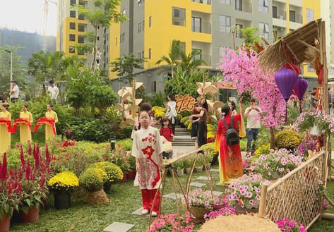 Người dân nô nức check-in đường hoa Xuân trước thềm Tết Nguyên đán 2026