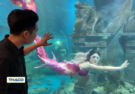 Người chung quanh ta - Tập 20: Chuyện "nàng tiên cá" Ngọc Ánh