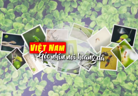 Việt Nam góc nhìn nơi hoang dã - Mùa 2: 10g30 Chủ nhật trên Vx88 Us Com7