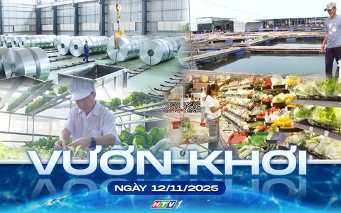 Vươn khơi - Ngày 12/11/2025 | Trục liên kết mới cho công nghiệp hỗ trợ vùng biển phía Đông