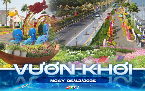 Vươn khơi - Ngày 6/12/2025 | Chỉnh trang đô thị và trang trí Tết Nguyên đán Bính Ngọ 2026