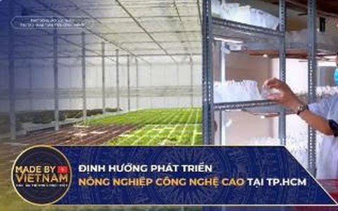 Định hướng phát triển nông nghiệp công nghệ cao tại TP.HCM