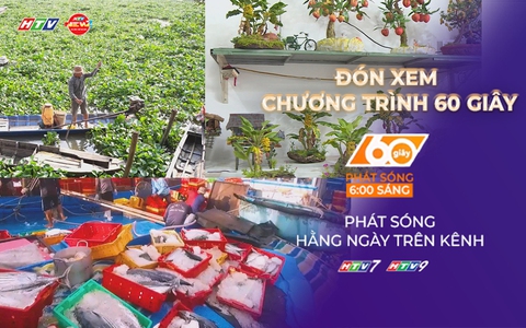60 Giây ngày 20/1/2026 | Lục bình dày đặc trên sông Vàm Cỏ Đông