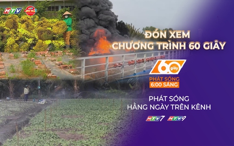 60 Giây ngày 25/1/2026 | Hoa nở sớm trước Tết: Nơi cứu hoa, nơi nhổ bỏ ruộng cúc