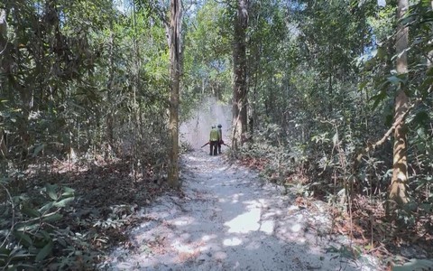 TP. Hồ Chí Minh chủ động phòng chống cháy rừng cao điểm mùa khô