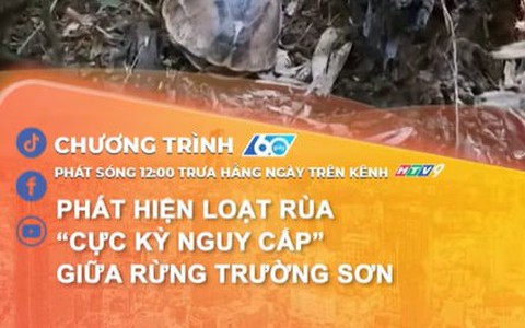 Phát hiện loạt rùa “cực kỳ nguy cấp” giữa rừng Trường Sơn