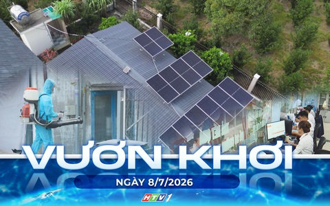 Vươn khơi - Ngày 8/7/2026 | TP. Hồ Chí Minh nâng cao chất lượng phục vụ hành chính công