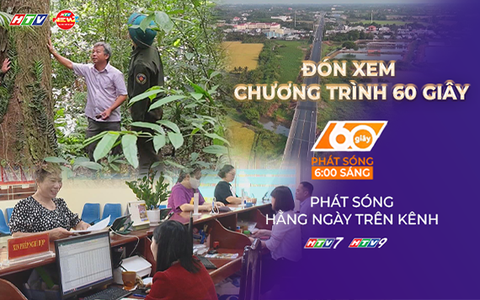 60 giây sáng ngày 12/8/2026 | Giữ màu xanh rừng lim cổ thụ nơi biên giới Hà Tĩnh