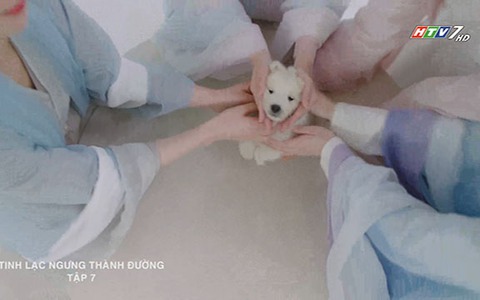 Thiếu chủ Thú giới bất ngờ trở thành "thú cưng"