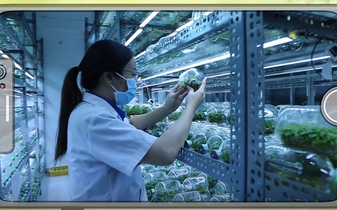 Giải nhất đợt 15: Nông nghiệp công nghệ cao hướng đến hành tinh xanh hơn