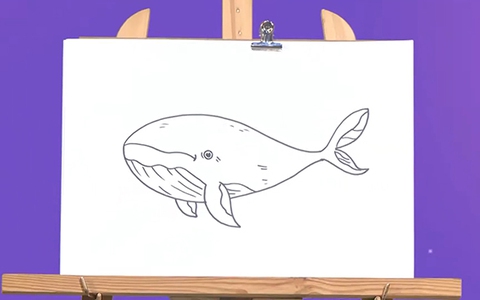 Học vẽ chú cá voi xanh