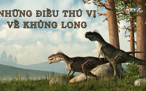 Những điều thú vị về khủng long