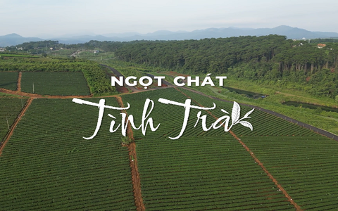Giới thiệu phim tài liệu "Ngọt chát tình trà"