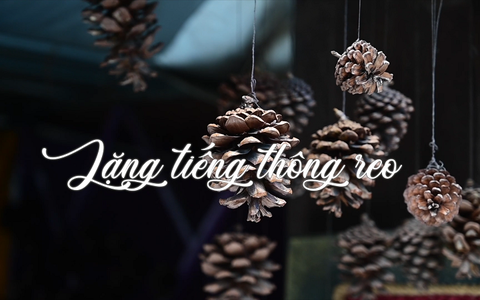Giới thiệu phim tài liệu "Lặng tiếng thông reo"