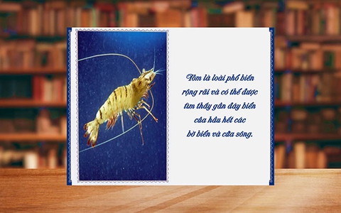 Những điều thú vị về loài tôm