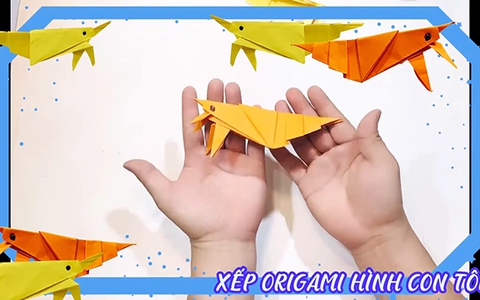 Gấp giấy tạo hình con tôm