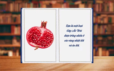 Những điều thú vị về cây lựu