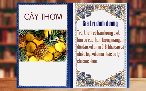 Những điều thú vị về trái thơm