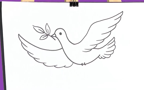 Cách vẽ chim bồ câu