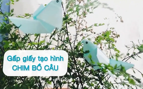 Cách gấp giấy hình chim bồ câu